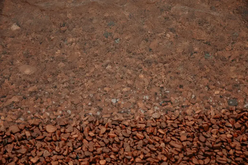 masło kakaowe spożywcze