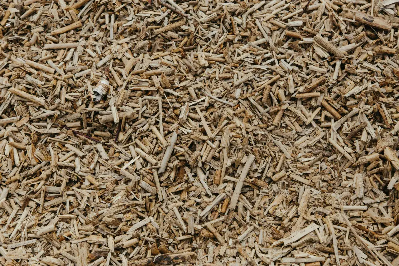 biomasa jako alternatywne źródło ogrzewania ciepłej wody