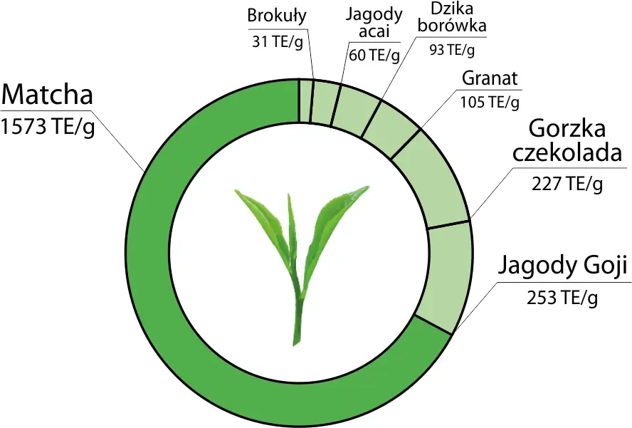 matcha antyoksydanty zdrowie