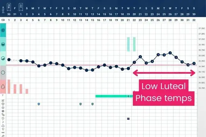 Wykres podstawowej temperatury ciała i śluzu szyjkowego