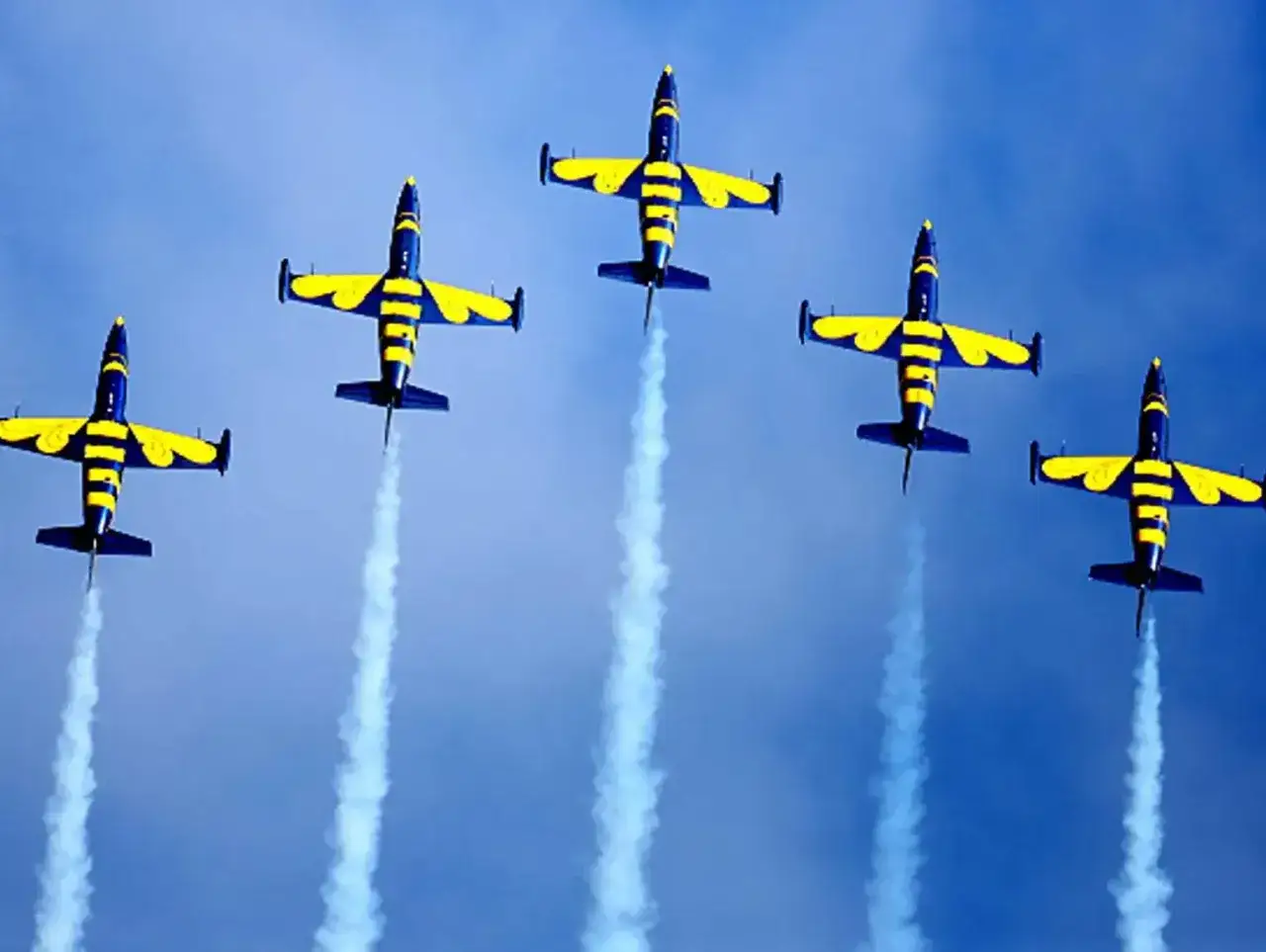 Zdjęcie Kiedy pokazy lotnicze w Radomiu? Zobacz daty i atrakcje!