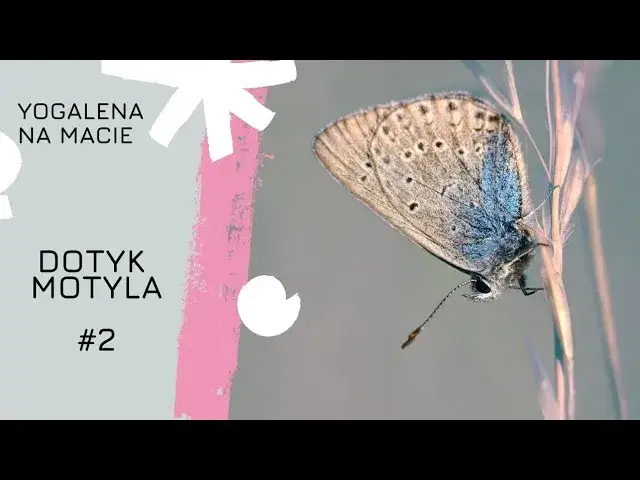 masaż dotyk motyla schemat ruch&oacute;w