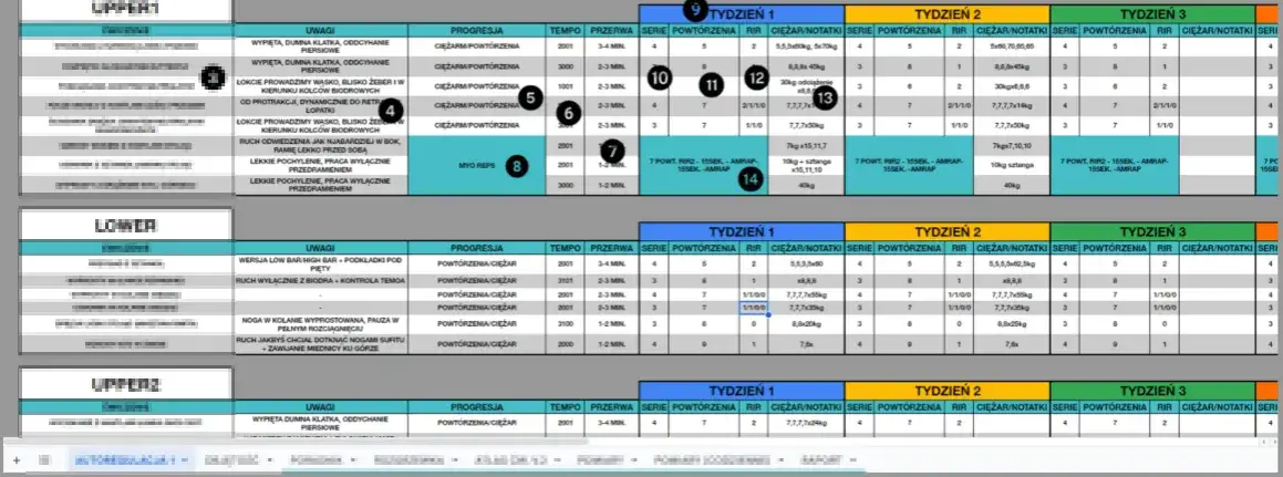 plan treningowy barki początkujący średniozaawansowany zaawansowany