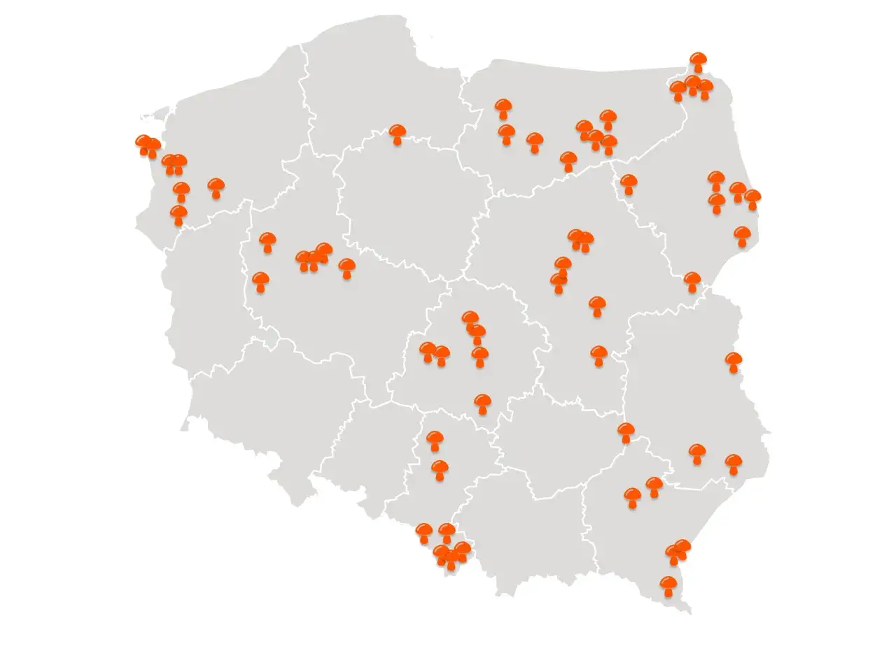 Mapa Polski grzybne regiony