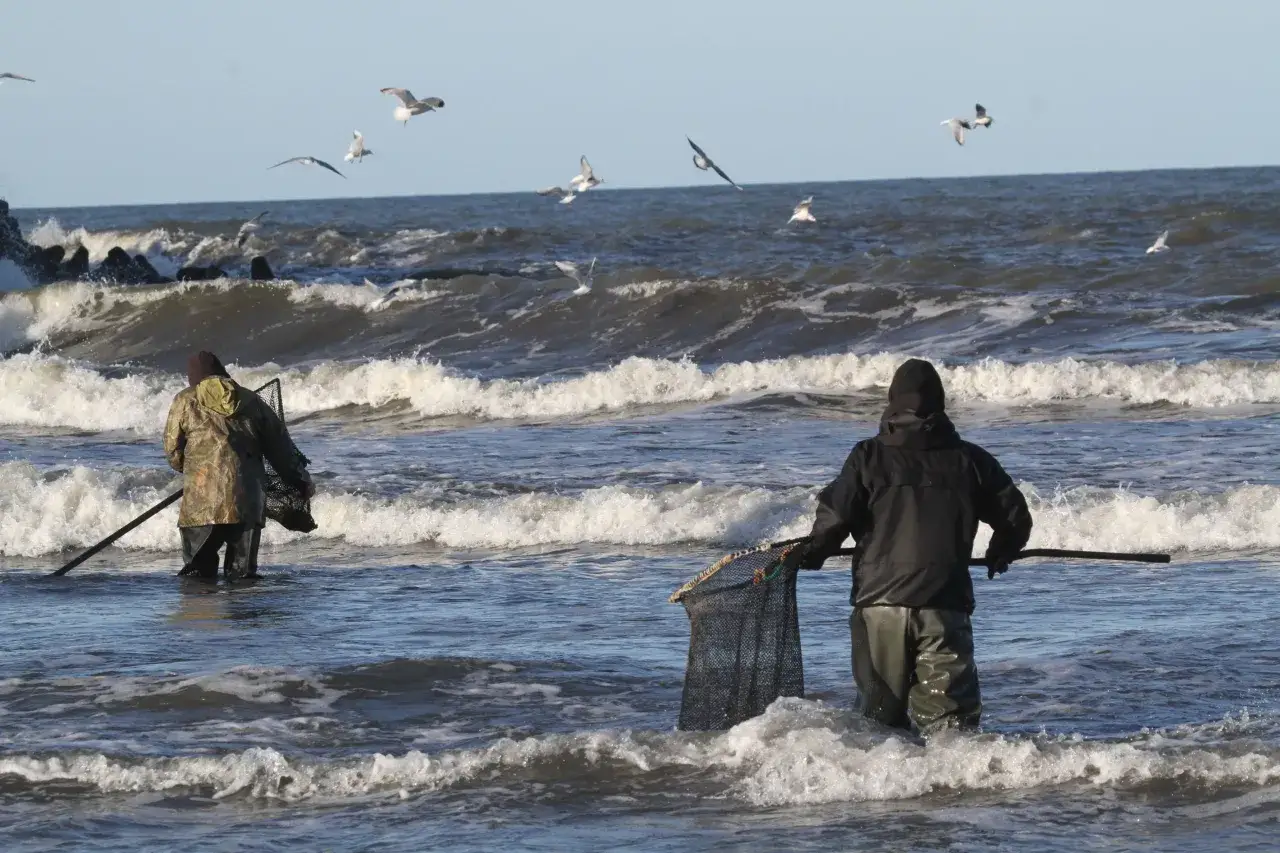 Poszukiwacze bursztyn&oacute;w po sztormie Bałtyk