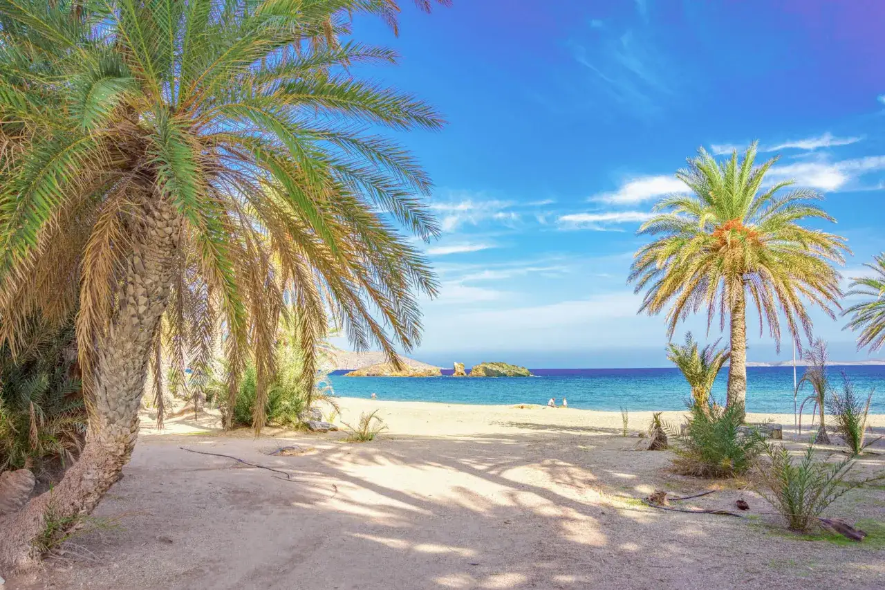 Plaża Vai z palmami