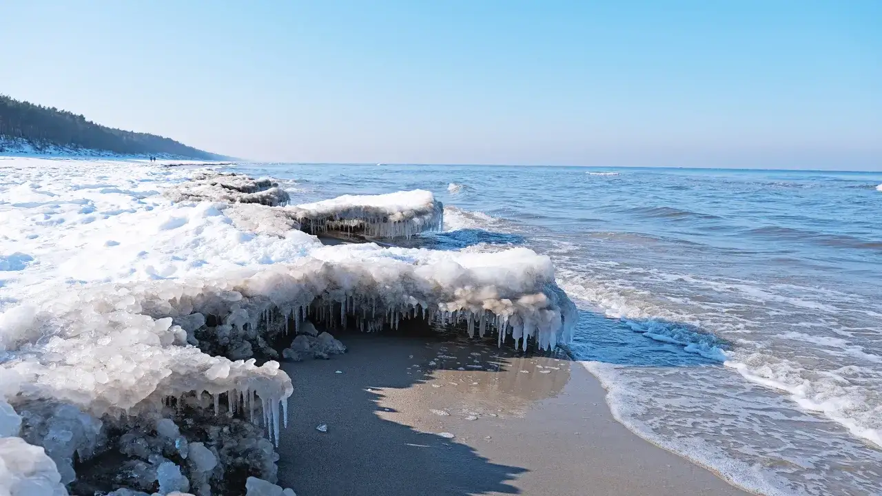 Lodowe sople zwisają z zamarzniętych kęp śniegu na brzegu, gdzie zamarza morze. W tle widać spokojne, błękitne morze i las.