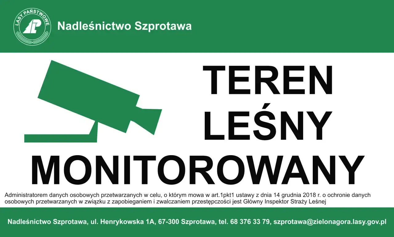 Zdjęcie Czy w lesie są kamery? Oto, co musisz wiedzieć o monitoringu
