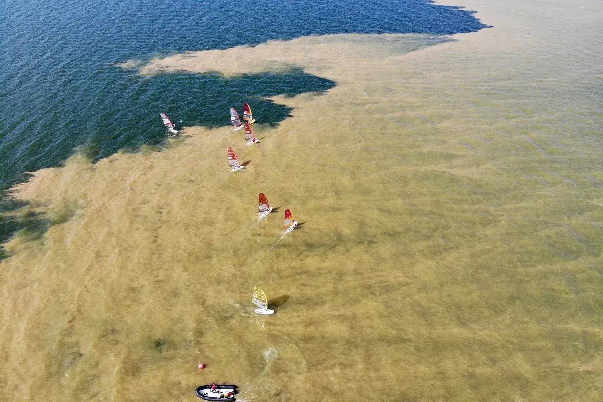 Zdjęcie Ile rzek wpływa do Bałtyku? Odkryj ich znaczenie dla ekosystemu