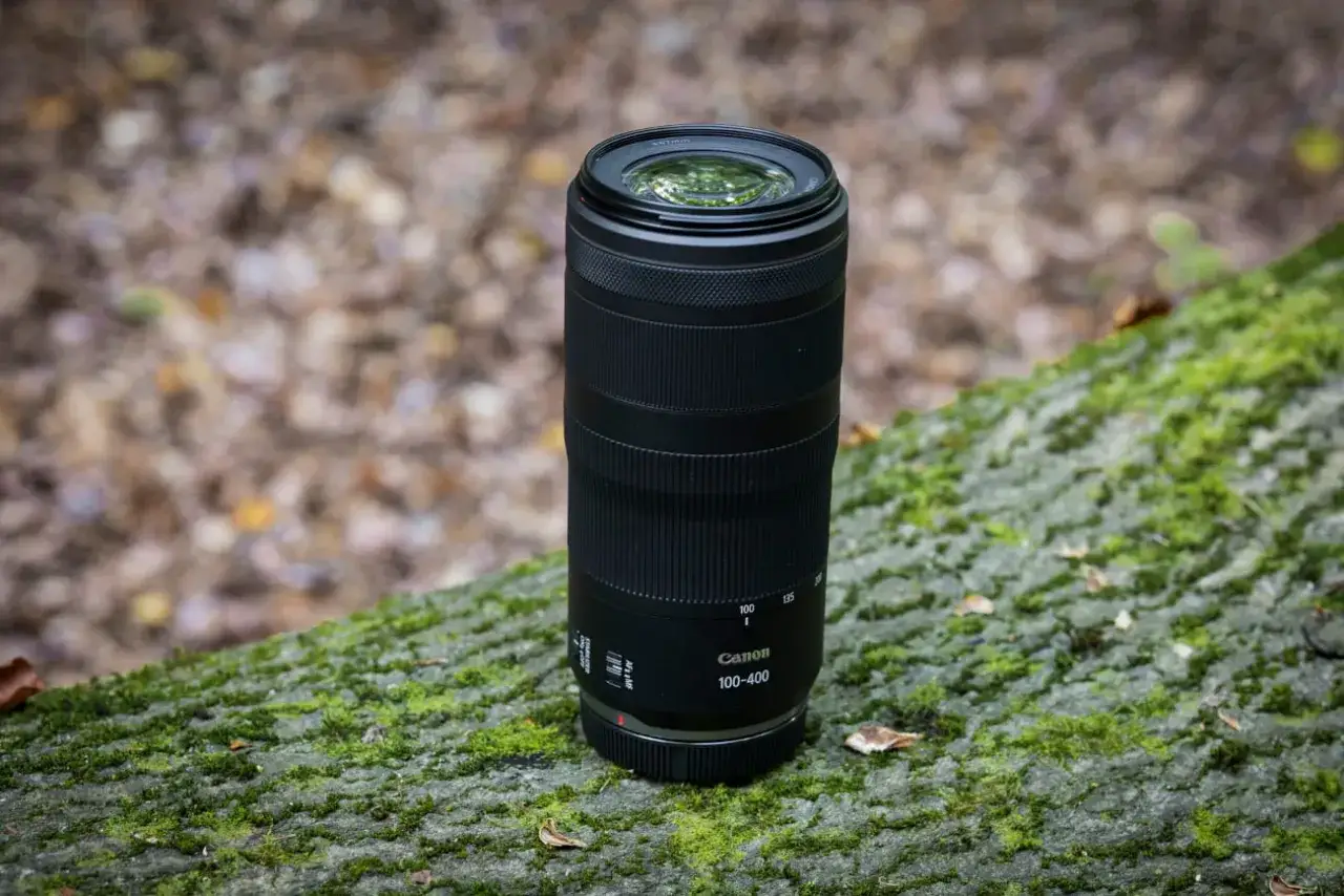 Obiektyw Canon 100-400 na omszałym pniu drzewa. Idealny do fotografii przyrodniczej i sportowej.