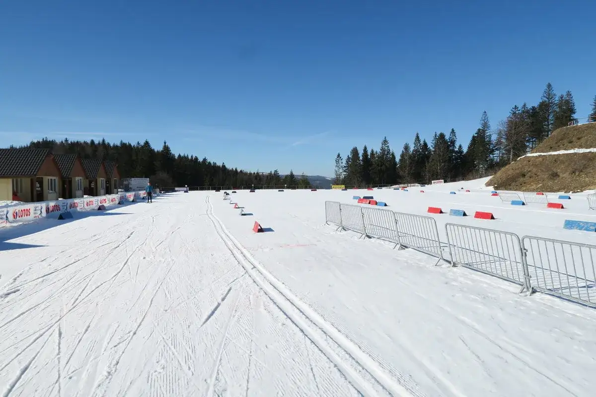 Trasy narciarskie w Polsce czekają! Widok na przygotowany tor do narciarstwa biegowego, z oznaczeniami i ogrodzeniem, w otoczeniu lasu.