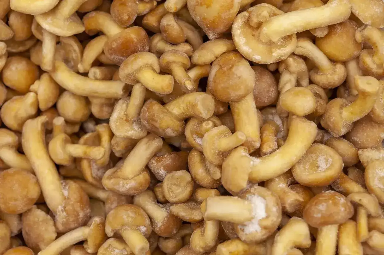 Zbliżenie na mrożone grzyby, idealne do szybkiego przyrządzenia pysznego dania.