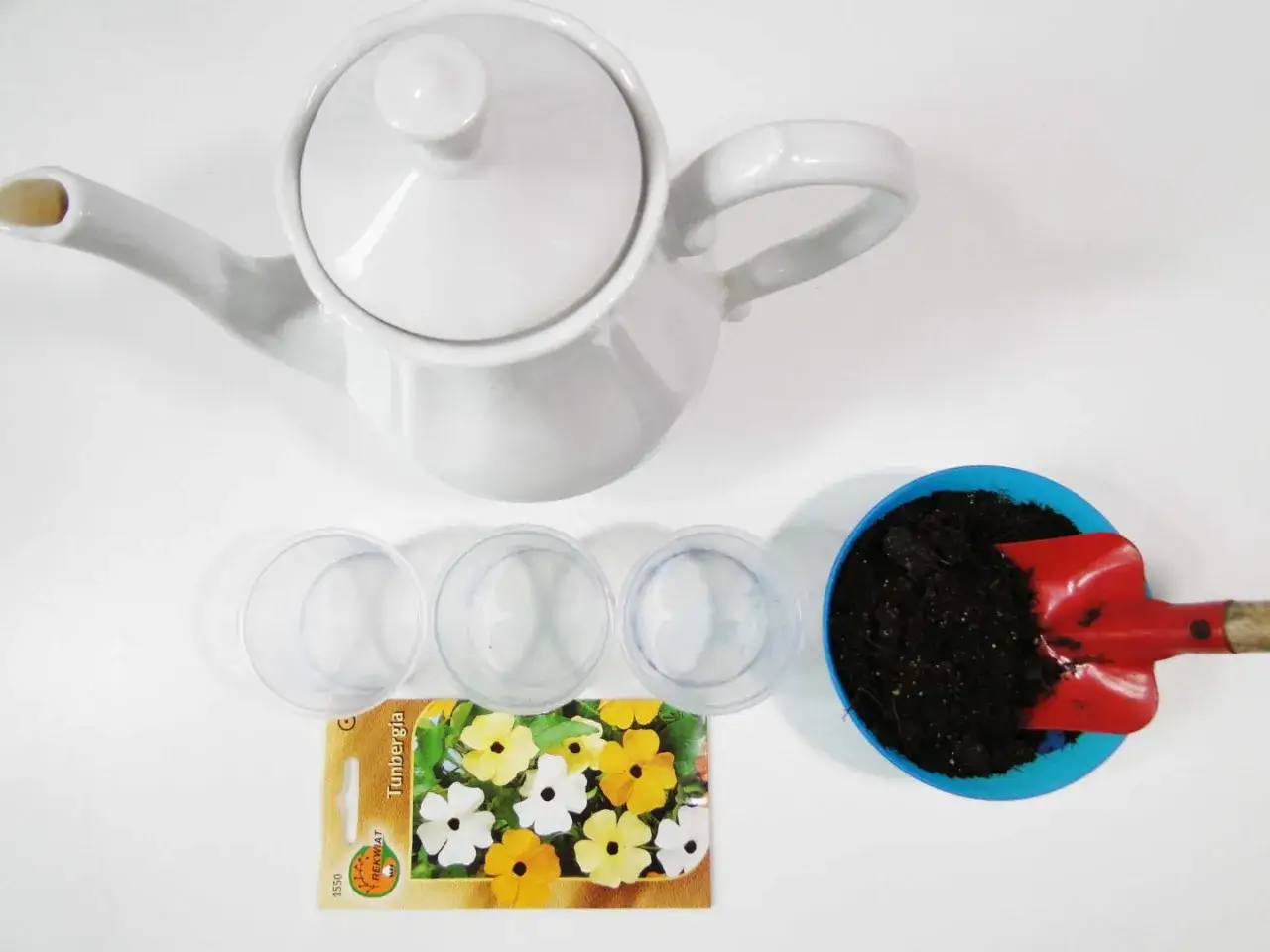 Materiały do eksperyment&oacute;w z roślinami w domu