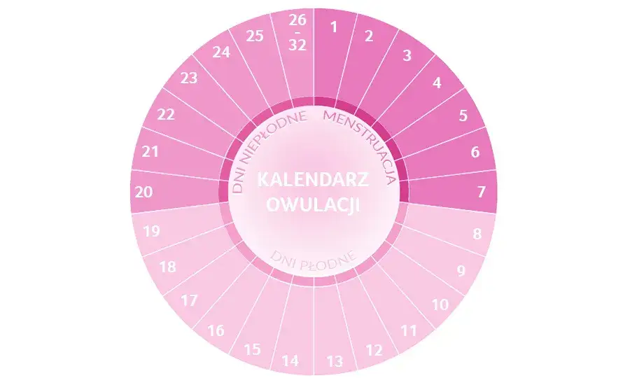 kalendarz cyklu miesiączkowego