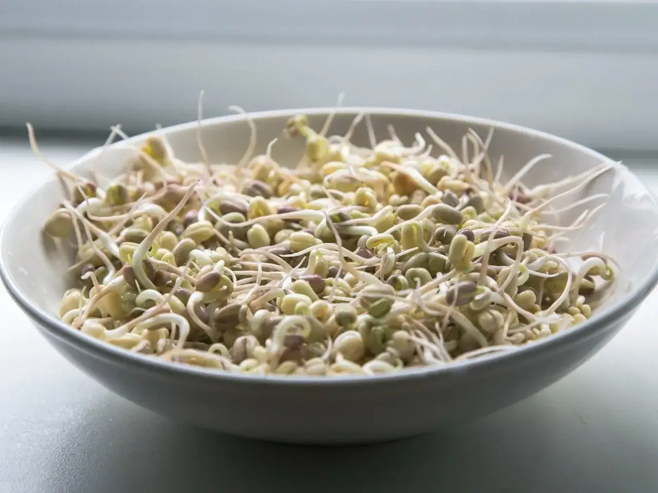 Salmonella E. coli Listeria kiełki