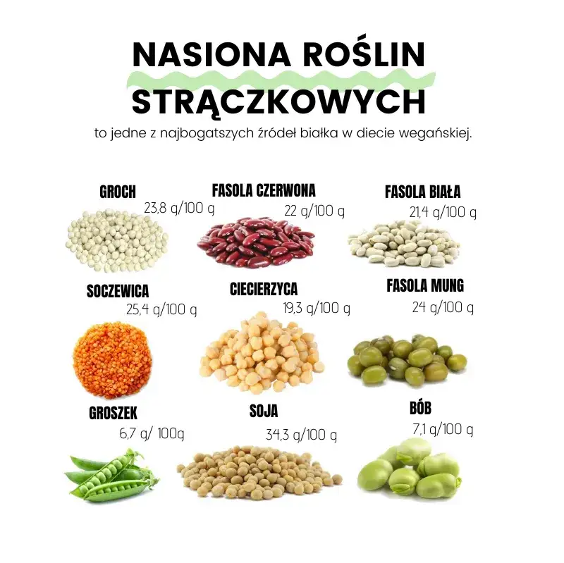 Roślinne źr&oacute;dła białka