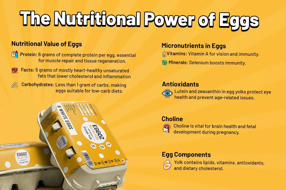 Jajka to skarbnica zdrowia! Poznaj ich wartości odżywcze: białko, zdrowe tłuszcze, witaminy i minerały.
