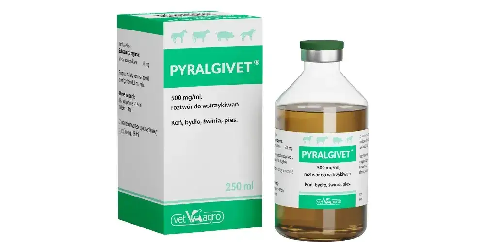 Zdjęcie Ile pyralginy dla psa 10 kg? Bezpieczne dawkowanie i skutki uboczne