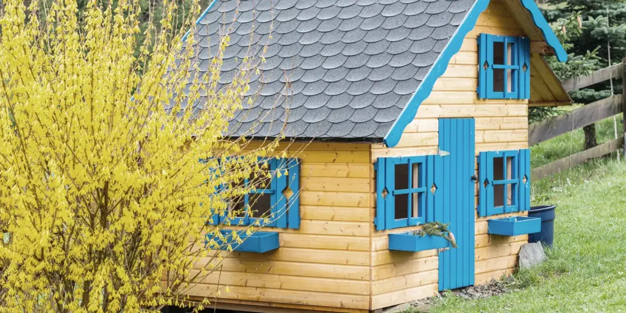 Drewniany domek dla dzieci z niebieskimi okiennicami i dachem. Wiosną kwitnąca forsycja dodaje uroku. Idealny pomysł, jak pomalować domek dla dzieci.