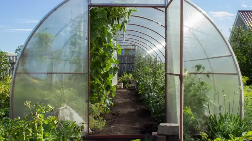 Materiały do budowy szklarni balkonowej DIY