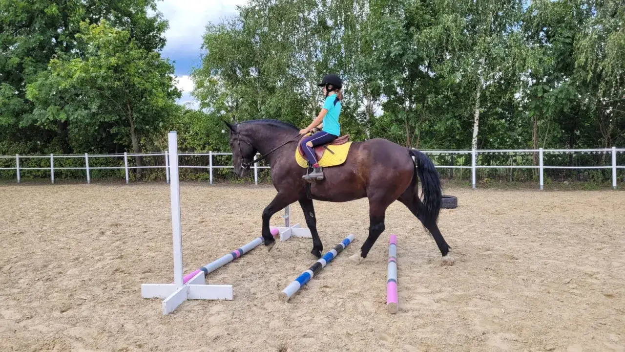 Dziewczynka na koniu ćwiczy w stajni. Koń stawia ostrożnie kończynkę nad drągami.