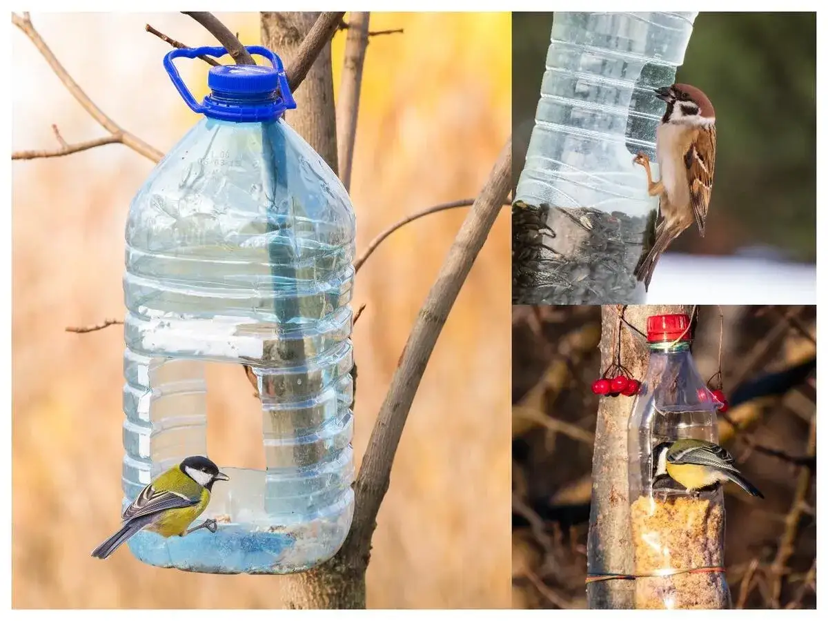 proste karmniki dla wr&oacute;bli z recyklingu