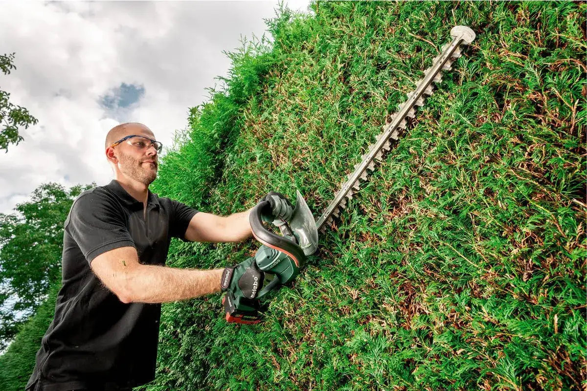 narzędzia do przycinania tui, sekator nożyce elektryczne żywopłot