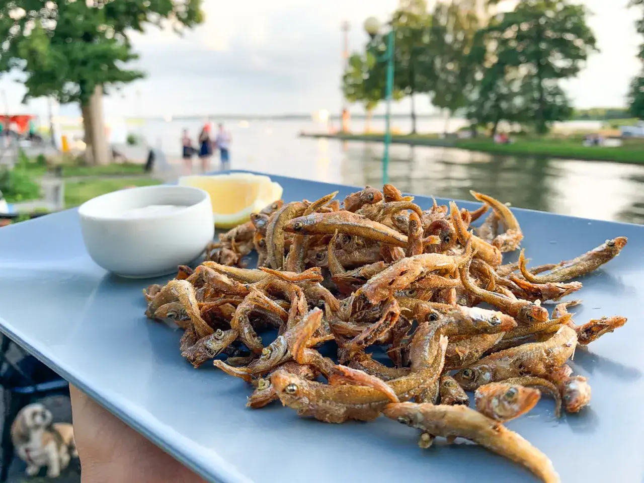 Chrupiące rybki prosto z Mazur – idealne miejsce, gdzie dobrze zjeść w Giżycku, nad jeziorem.