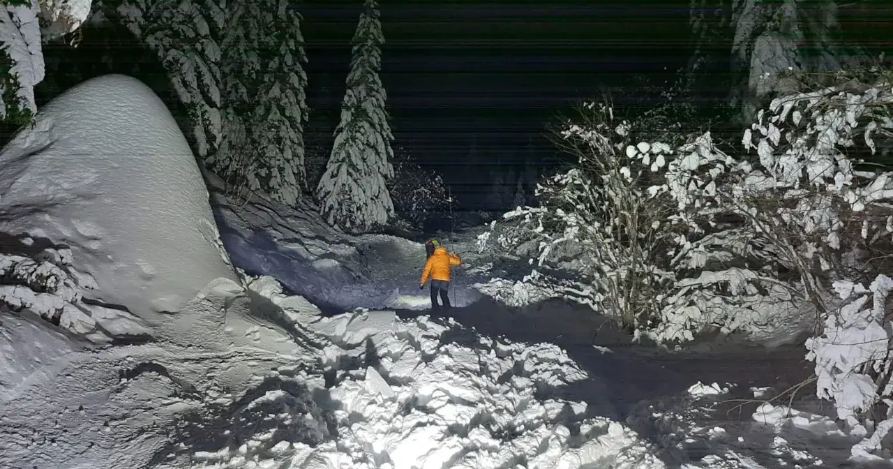 Ratownik w pomarańczowej kurtce oświetla latarką teren po tym, jak zeszła lawina. Widać zaspy śniegu i drzewa.