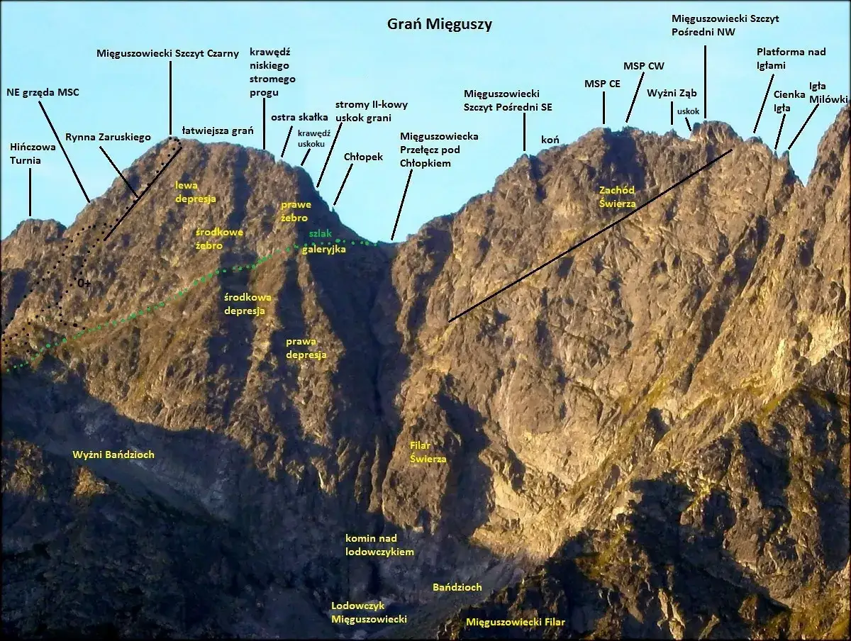 Masyw Mięguszowców z zaznaczonym Mięguszowieckim Szczytem Czarnym, graniami, żlebami i szlakiem.