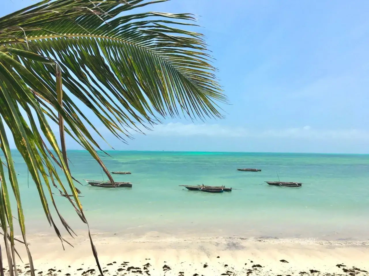 Palma nad turkusową wodą, łodzie kołyszą się na falach. Idealne miejsce na wakacje, zastanawiasz się nad zanzibar ceny?