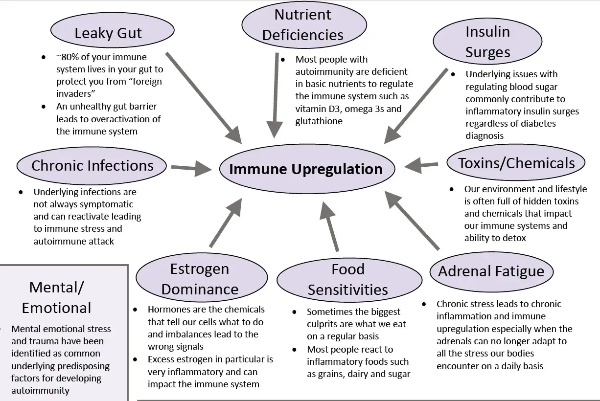 Co wywołuje choroby autoimmunologiczne: nieszczelne jelita, niedobory, stres, toksyny, infekcje, nadwrażliwość pokarmowa, dominacja estrogenu, zmęczenie nadnerczy.