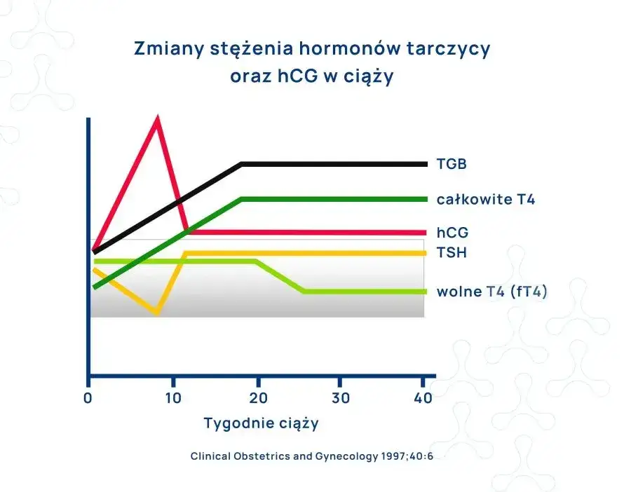 Tabela norm TSH dla różnych grup wiekowych i w ciąży