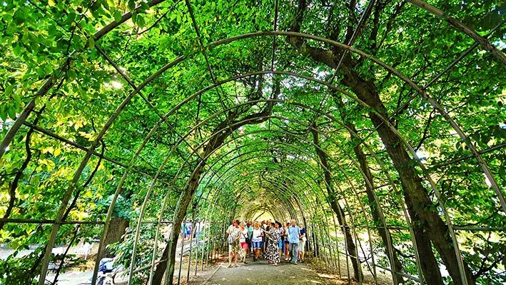 Kołobrzeg bindaż grabowy