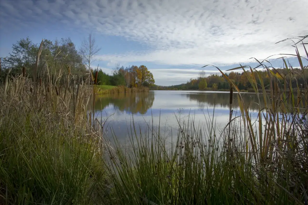 Zdjęcie Łowisko komercyjne Jelenia Góra: idealne miejsce na wędkowanie