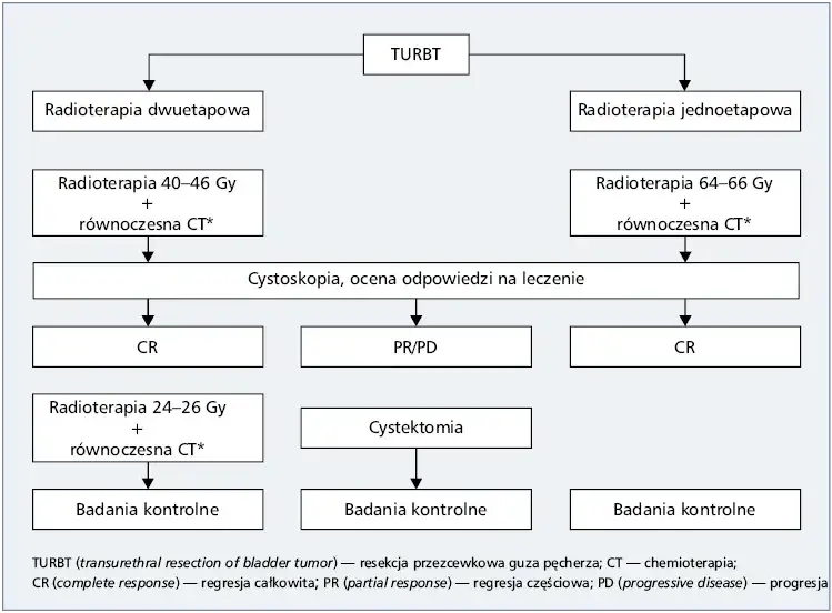 Urologia zakres leczenia schemat
