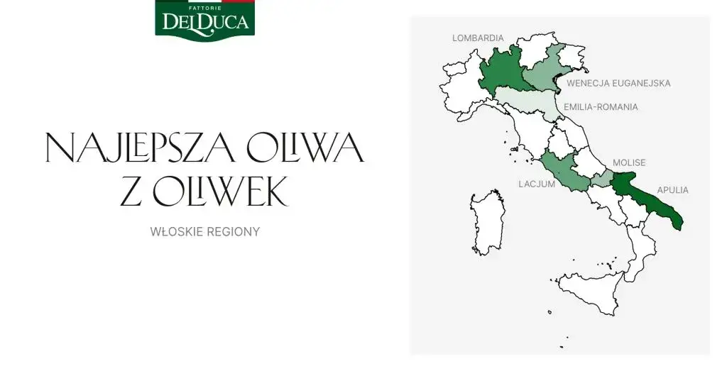 Mapa region&oacute;w produkcji oliwy z oliwek lub r&oacute;żne butelki oliwy