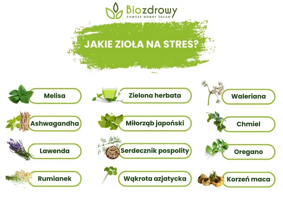 zioła uspokajające melisa lawenda ashwagandha