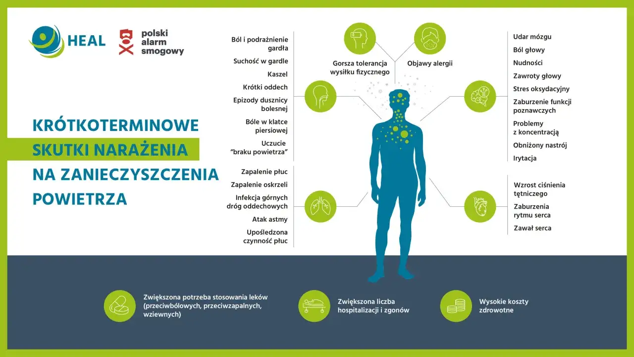 Grafika przedstawia skutki krótkoterminowego narażenia na zanieczyszczone powietrze: problemy z gardłem, płucami, sercem, mózgiem i ogólne złe samopoczucie.