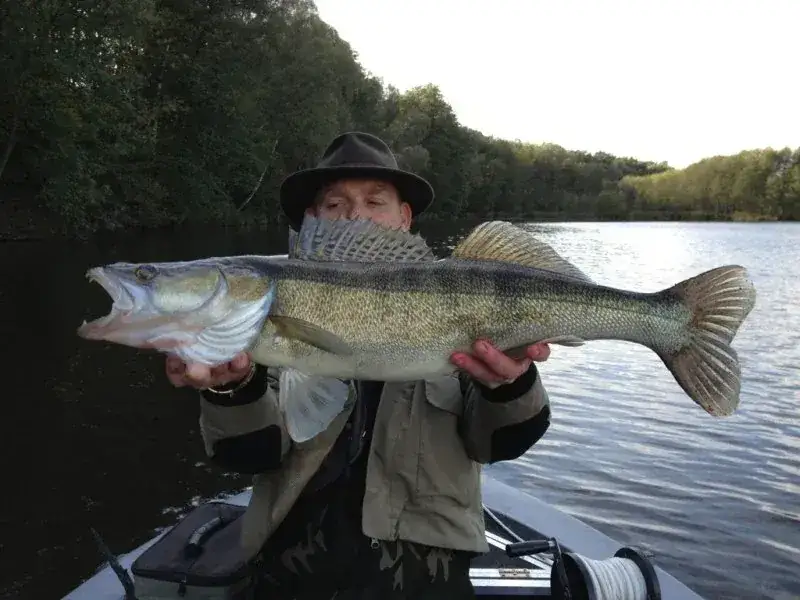 Zdjęcie Gdzie na ryby z noclegiem Wielkopolska – najlepsze miejsca na wypoczynek
