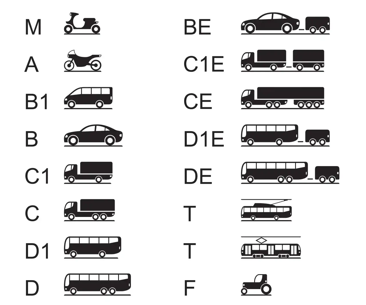 Rodzaje bus&oacute;w prawo jazdy kategorie B D1 D