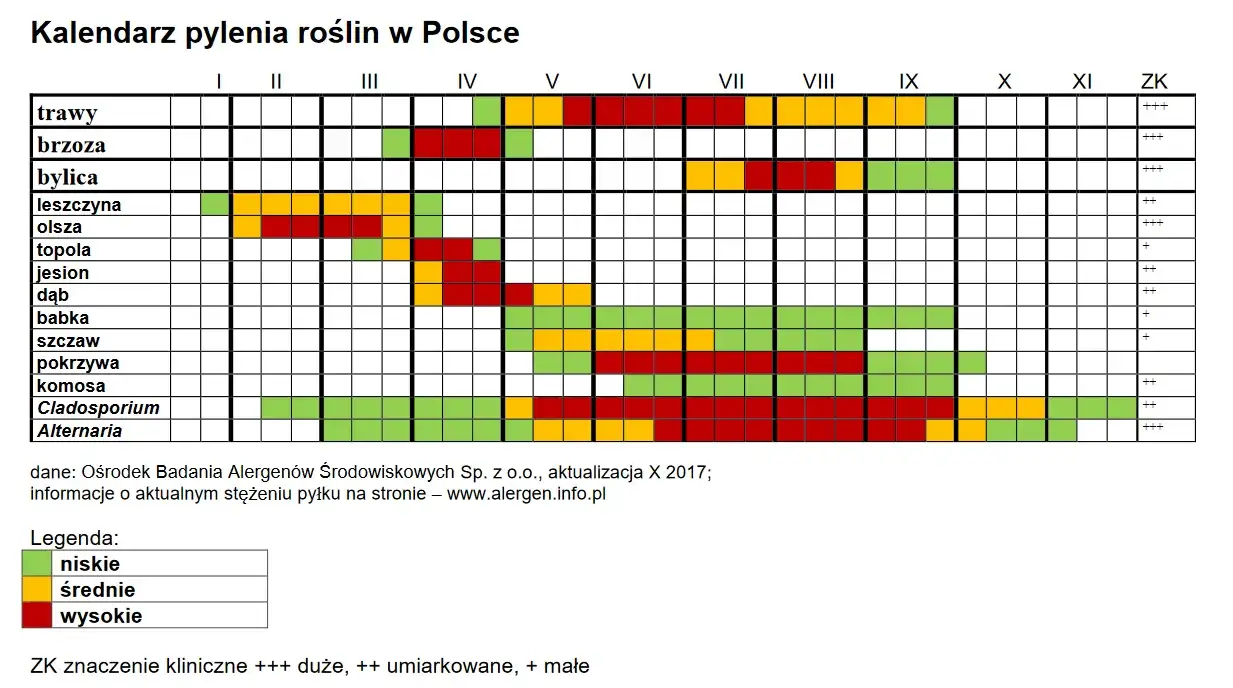 kalendarz pylenia traw w Polsce
