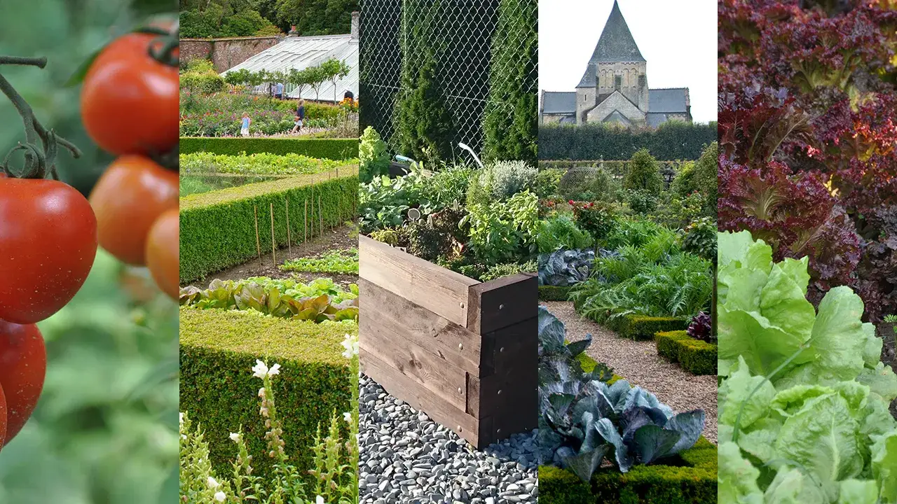 estetyczny warzywnik w ogrodzie ozdobnym inspiracje