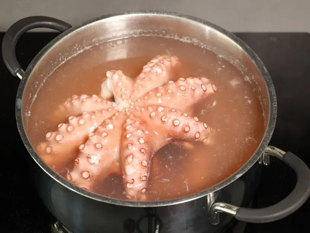 Polpo in pentola che bolle