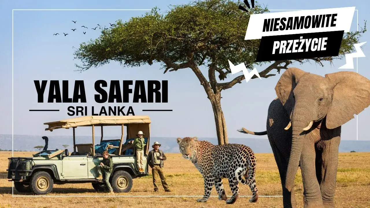Safari Sri Lanka lampart słoń
