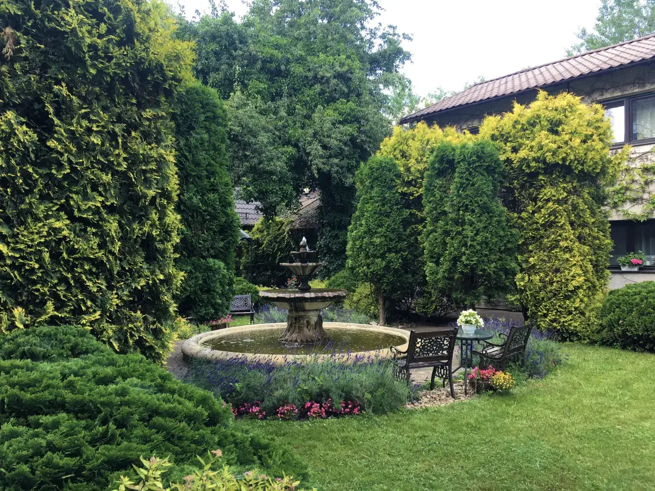 Dom Opieki Henryszew, otoczenie, park