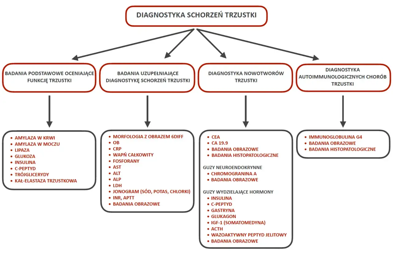Objawy chor&oacute;b trzustki infografika