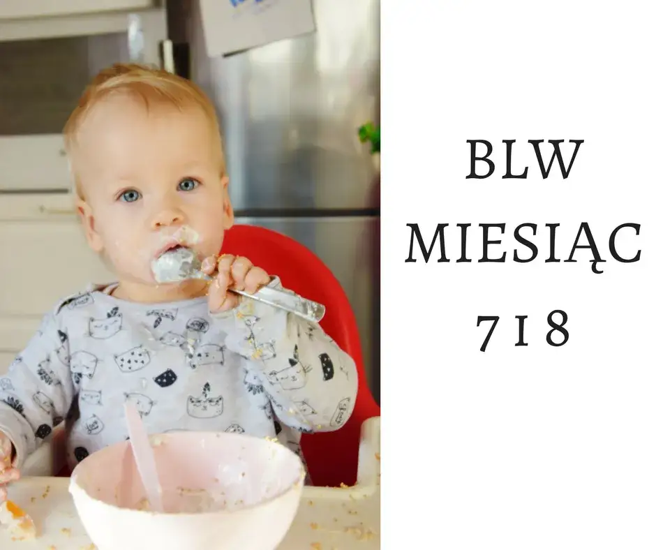 posiłki BLW dla 8 miesięcznego dziecka