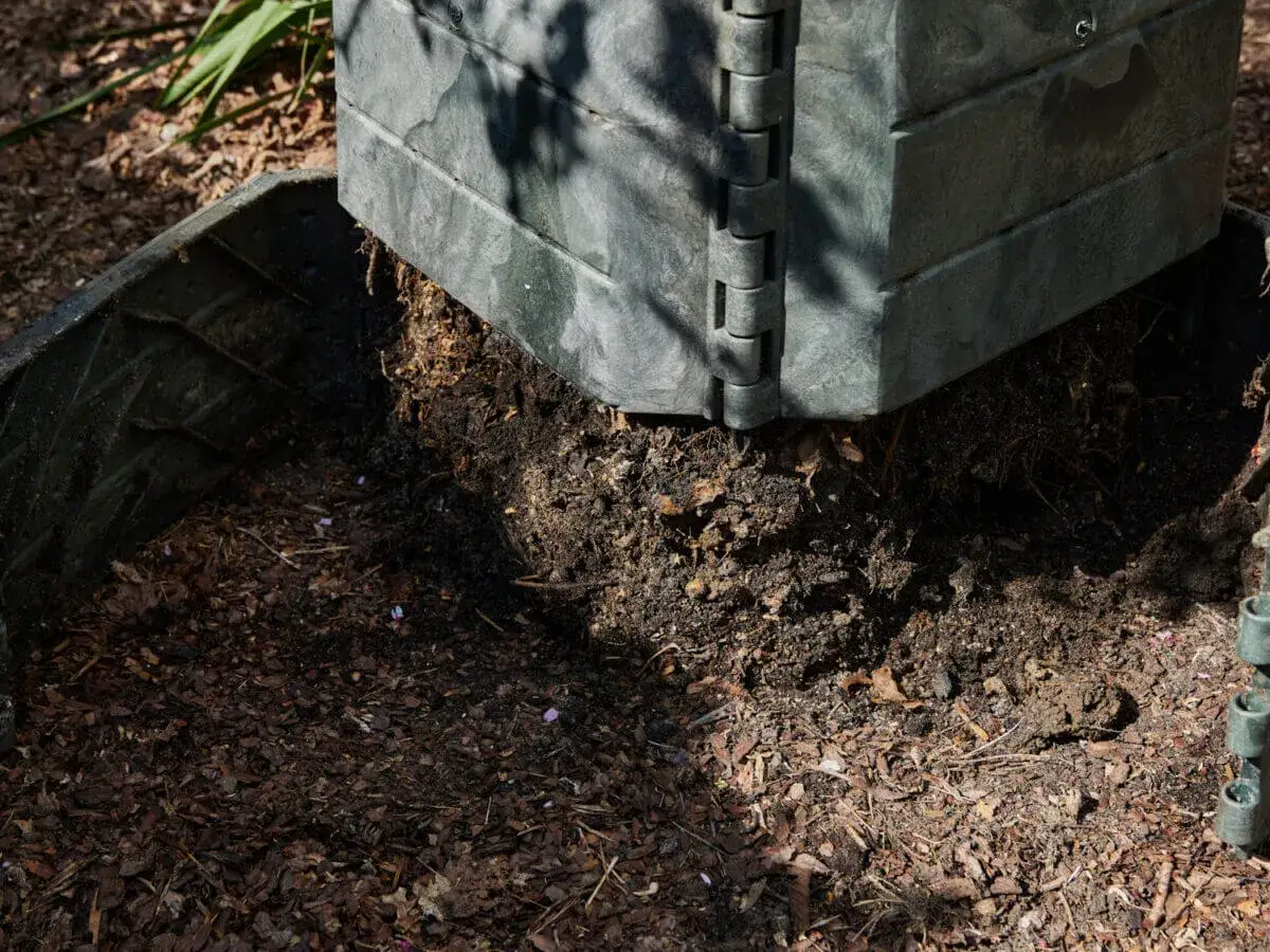 czego nie wrzucać do kompostu