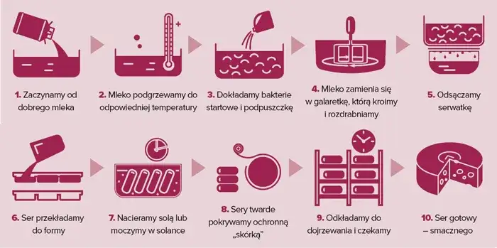 Rodzaje podpuszczki w produkcji sera infografika